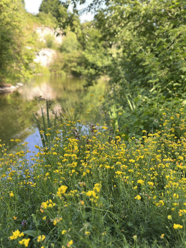 🏞️ Stadtpark Leonberg⛲️