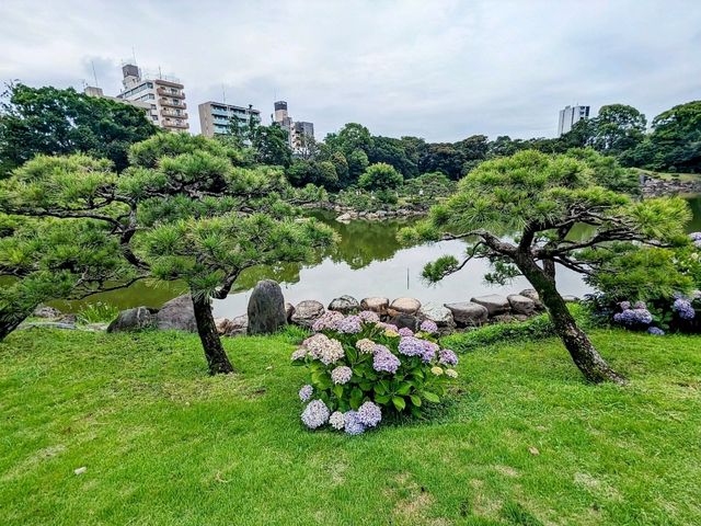 東京 | 清澄庭園賞花，以名石奇岩著稱的日式庭園