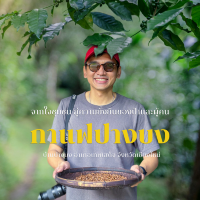 จากใจชุมชนสู่ความยั่งยืนของป่า บ้านปางบง เชียงใหม่