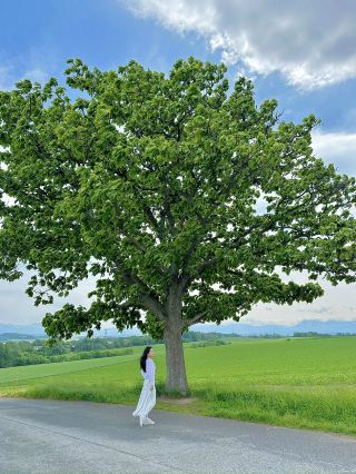 Hokkaido Must-Do Tour!