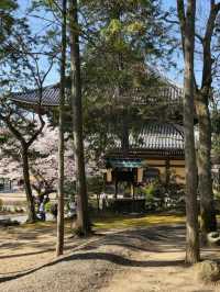 @ EIKANDO TEMPLE IN KYOTO.