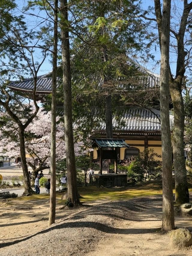@ EIKANDO TEMPLE IN KYOTO.