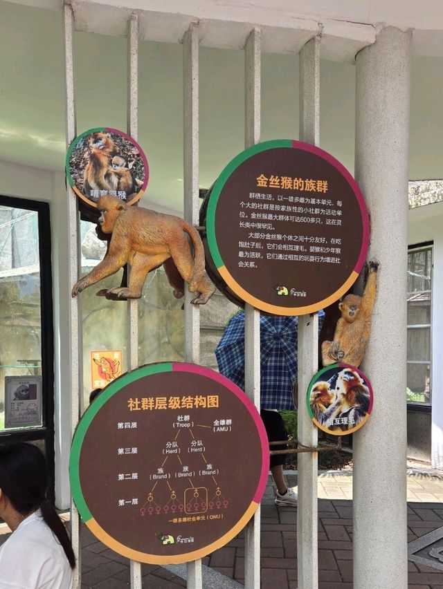 廣州动物园