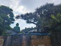 ⛩️綠色名古屋大佛【桃巖寺-下篇】