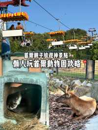 首爾動物園怎麼玩？韓國親子旅遊神景點🎠