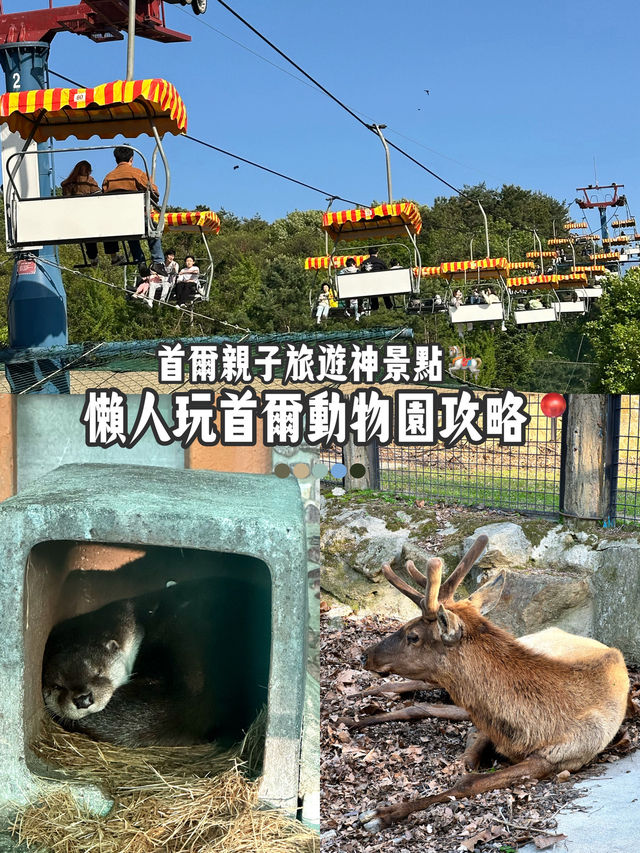 首爾動物園怎麼玩？韓國親子旅遊神景點🎠