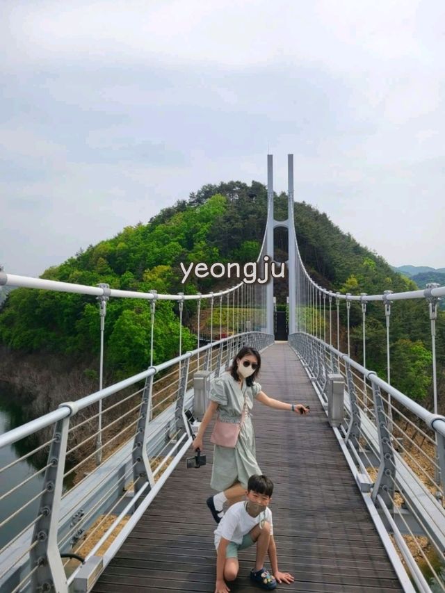 영주호를 가로질러볼수있는 💙용마루공원