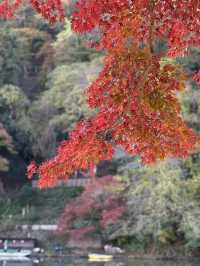 京都・嵐山の紅葉
