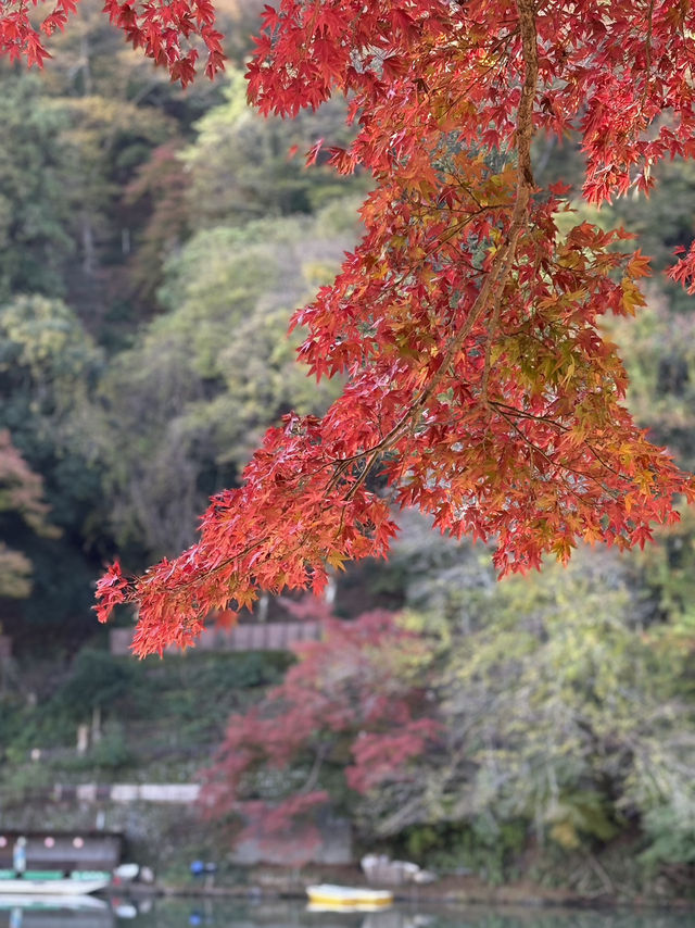京都・嵐山の紅葉
