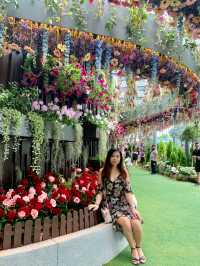 Discover the Magic of Singapore’s Floral Fantasy at Gardens by the Bay 
