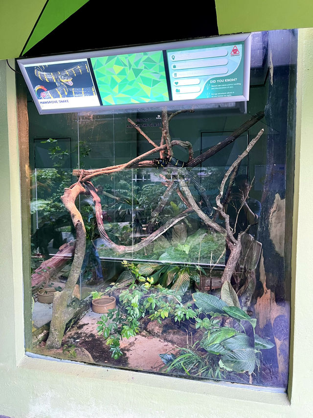 “Explore the Fascinating World of Reptiles at Rimba Reptilia”