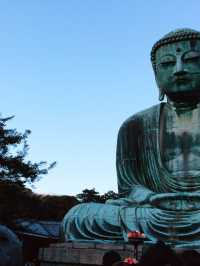 【鎌倉 長谷 高徳院の大仏、由比ヶ浜から材木座までを歩く】