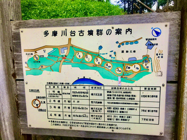 【田園調布から多摩川へ行き紫陽花、多摩川台古墳群、亀甲山古墳、多摩川浅間神社】