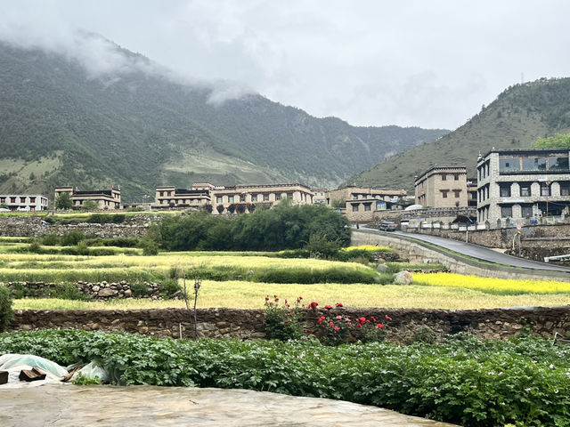 🌄 Immersive Tibetan Lunch & Local Culture at Kangba Folk Village | Daocheng 稻城