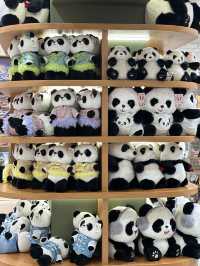 The largest Panda Eyes at Bukit Bintang