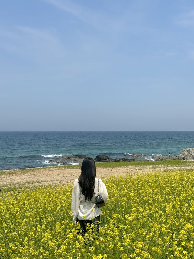 강원도 여행