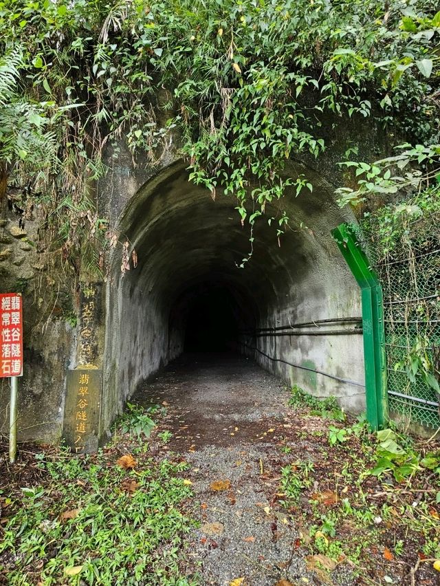 花蓮｜秘境玩水夏日選擇〔翡翠谷〕💧🏞️