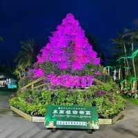 【️沖縄】 美らヤシパークオキナワ 東南植物楽園🌴