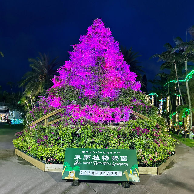 【️沖縄】 美らヤシパークオキナワ 東南植物楽園🌴