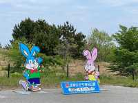 國營常陸海濱公園