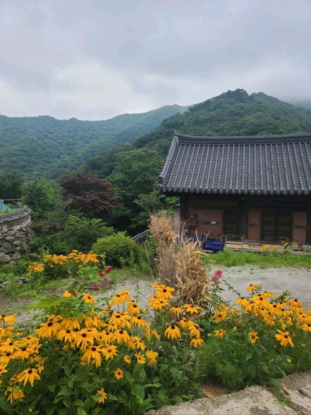 백련사까지 계곡트레킹하기💚무주어사길