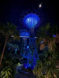 Neon Trees, Gardens by the Bay at Night
