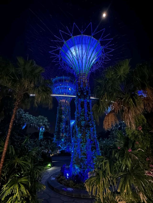 Neon Trees, Gardens by the Bay at Night