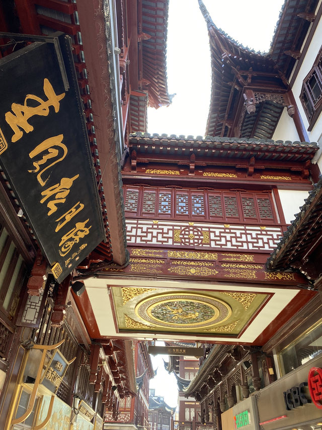 晚上金光璀璨的豫園，早上該去嗎？