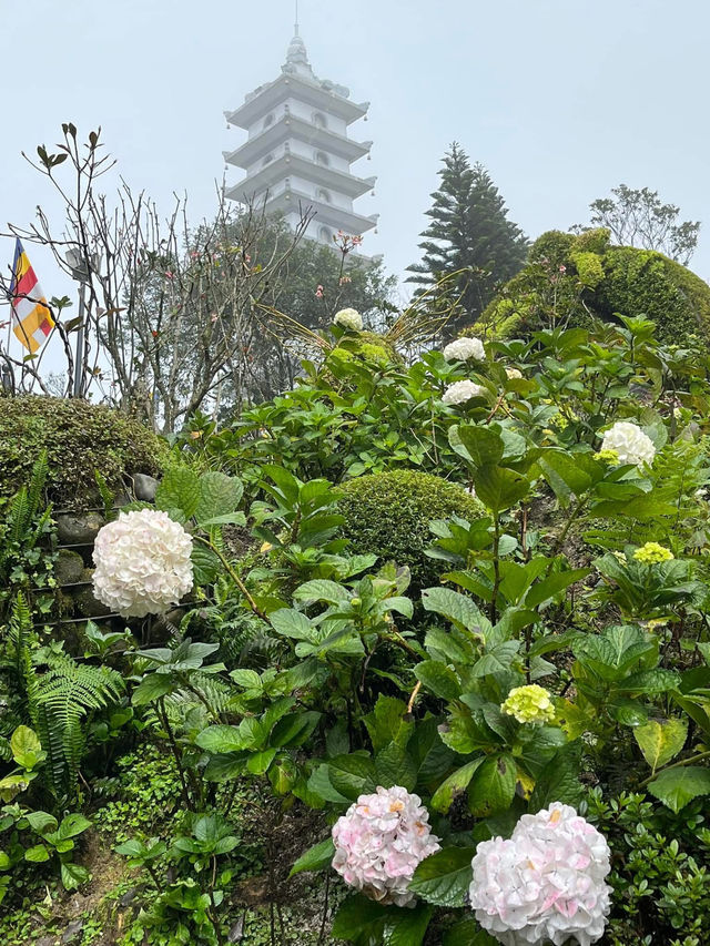 🌄☁️ Bà Nà Hills – A Surreal Day Above the Clouds ☁️