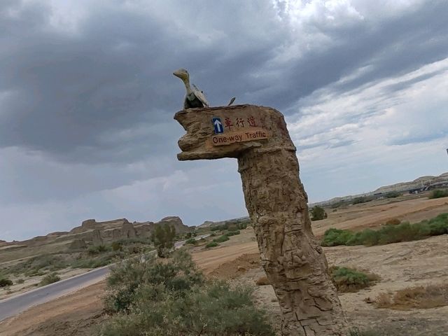 Devil City: A Wind-Sculpted Maze