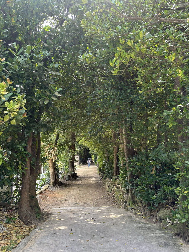Peaceful Escape in Northern Okinawa - Bise Village & Emerald Beach