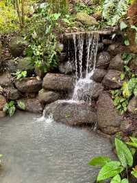 Spice Trails: A Journey Through Penang’s Botanical Wonderland