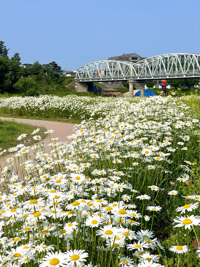 공주여행 필수코스