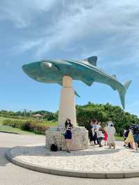 🐋오키나와에서 가장 유명한 추라우미 수족관