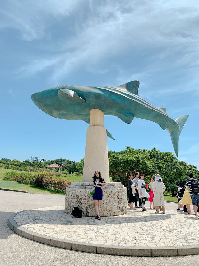 🐋오키나와에서 가장 유명한 추라우미 수족관