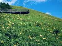 Kisuge-daira Park (キスゲ平公園) – A Hidden Highland Paradise in Nagano** 🌸🏞️  