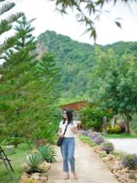 คาเฟ่วิวเขาอุทัยธานี 