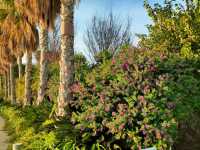 Parque Central Is Valencia’s Secret Green Spot
