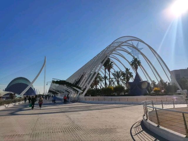 The Umbracle is a Whole Mood 