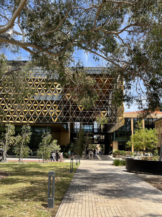 Welcome to UWA, Perth’s Most Beautiful Campus 🌿📚