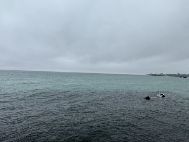 제주도 서귀포 배낭여행
