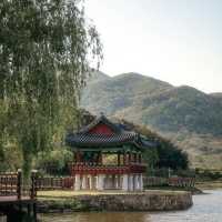 Hadong: A Slow Traveler’s Paradise – Tea Fields, Timeless Houses & Mountain Spirits"** 🍵🏯 