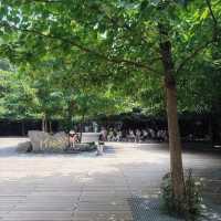 天門山国家森林公園 