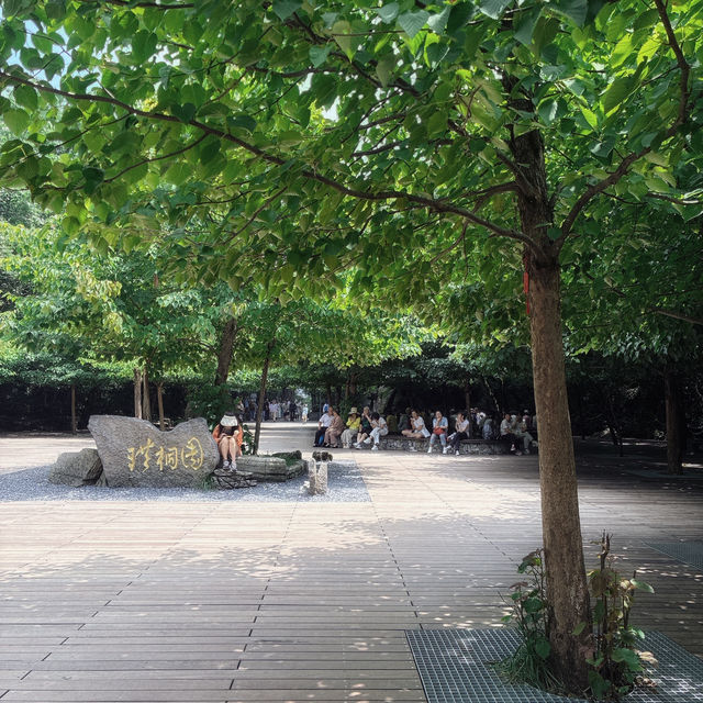 天門山国家森林公園 