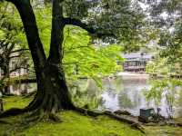 金澤 | 松風閣庭園，比兼六園還要古老的日式庭園