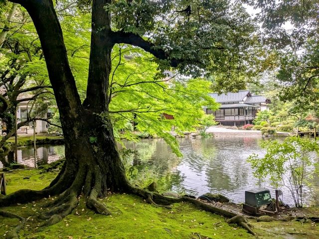 金澤 | 松風閣庭園，比兼六園還要古老的日式庭園