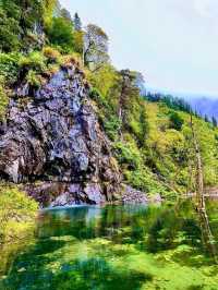 Nature Overload at Bipenggou National Park