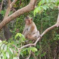 อุทยานหินเขางู จ.ราชบุรี