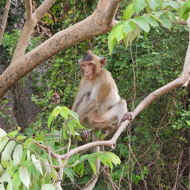 อุทยานหินเขางู จ.ราชบุรี