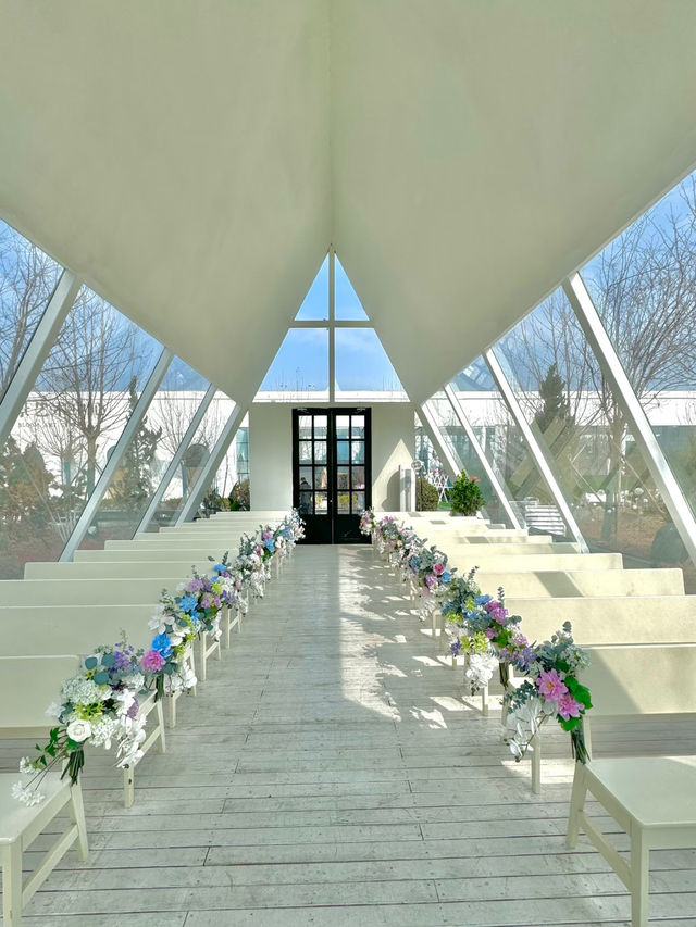 🌸 New Weekend Gem in Beijing: Spring Flower House at Fanjing Art Center 💐📸